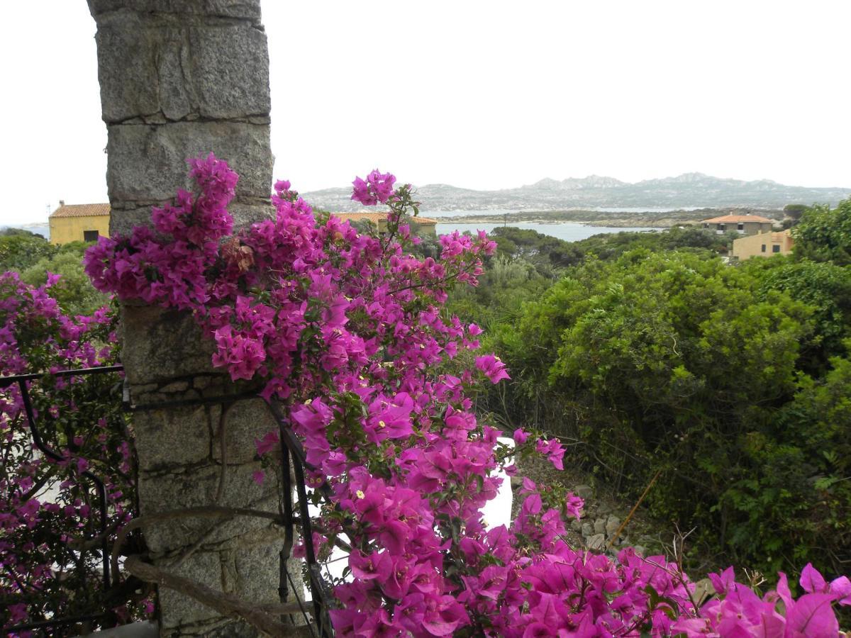 Villa Carlotta La Maddalena Ла-Маддалена Экстерьер фото